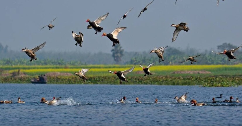 এই কারণে ফটোগ্রাফার ও পাখিপ্রেমীরা সারা বছরই এখানে আসেন। তবে শুধু শীতকাল নয়, গ্রীষ্মেও আসতে পারেন এই জায়গায়। নৌকা মাঝি বাবু শেখ এই বিষয়ে জানিয়েছেন, &quot;সারাবছরই এখন পর্যটক আসছেন। এই গরমেও আসা যেতে পারে। এটাতো আর শহর নয়, এখানে নির্জন পরিবেশ উপভোগ করা যাবে। পাখিও দেখা যাবে। সকালের দিকে নৌকা বিহার করে আনন্দও উপভোগ করা যাবে।&quot;