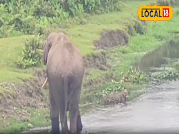 নদীতে নদীতে