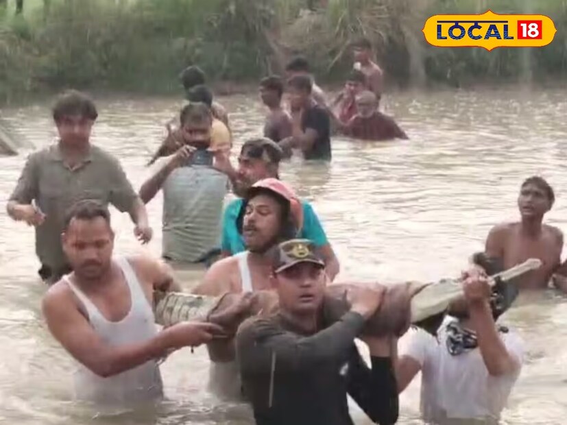 গ্রামের বাসিন্দারা জানিয়েছেন, মুর্শিদাবাদের ভরতপুরে বাবলা নদীতে হঠাৎই ঘড়িয়ালকে দেখতে পাওয়া যায় সম্প্রতি। বারবার ঘড়িয়ালকে নজরে রাখা হয় গ্রামের বাসিন্দাদের পক্ষ থেকে। তবে তাকে কেও আঘাত যাতে কেও না করে তার জন্য নজর ছিল সকলের।