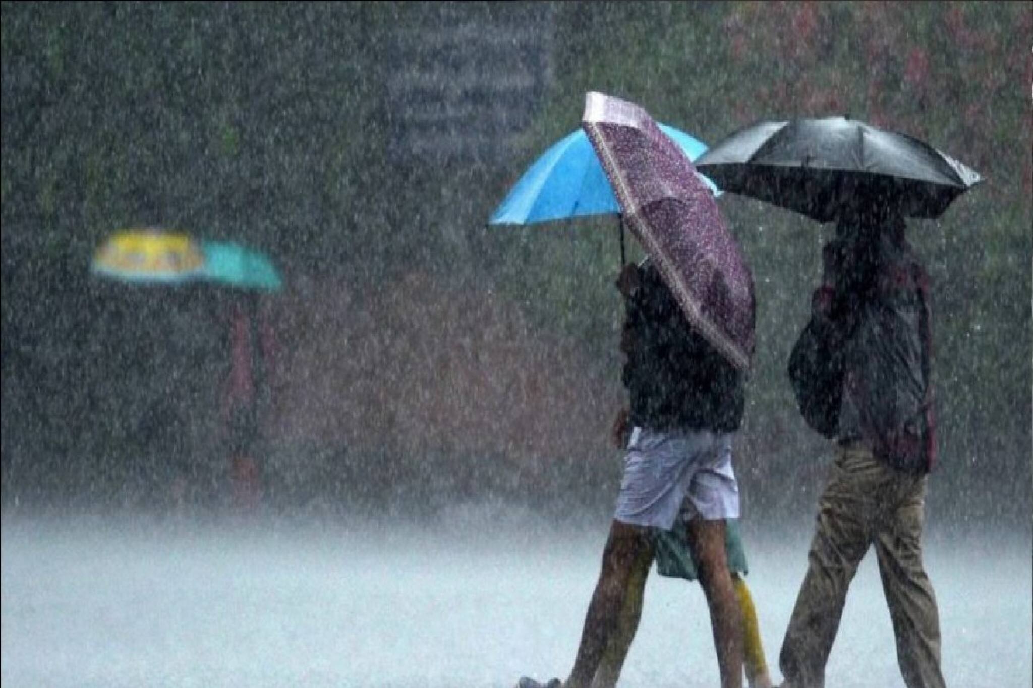 ধেয়ে আসতে পারে ঝড়-বৃষ্টি, জারি হলুদ সর্তকতা! বাংলার ৫ জেলায় বজ্রপাত-দুর্যোগের আশঙ্কা