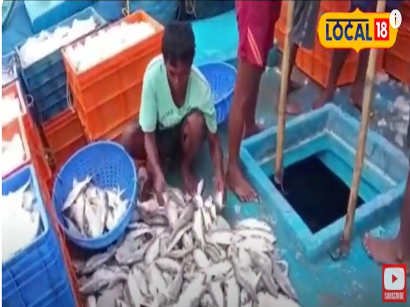 দিঘা মোহনা মৎস্য নিলাম কেন্দ্রে সামুদ্রিক মাছের ধীরে ধীরে যোগান বাড়ছে। আর তাতেই মুখে হাসি ফুটেছে মৎস্যজীবীদের।