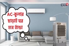 দরকার নেই এসি-কুলারের! এক বাটি বরফেই ঠান্ডা হবে ঘর! ১০ মিনিটে ম্যাজিক, জানুন কী করতে হবে