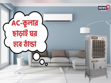 দরকার নেই এসি-কুলারের! এক বাটি বরফেই ঠান্ডা হবে ঘর! ১০ মিনিটে ম্যাজিক, জানুন কী করতে হবে