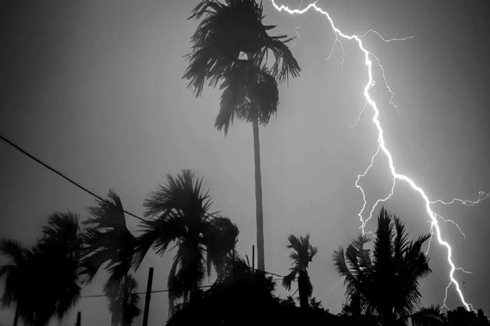 ঝমঝমিয়ে নামছে... আর দু ঘণ্টায় তুমুল ঝড়, শিলাবৃষ্টি! তিন জেলায় বিরাট সতর্কতা