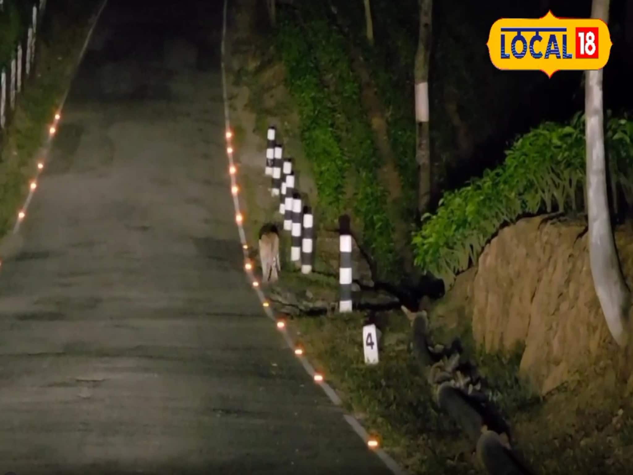 চা বাগানে লেপার্ড! দেখে নিন বুকে ধুকপুকানি ধরানো মজাদার ভিডিও