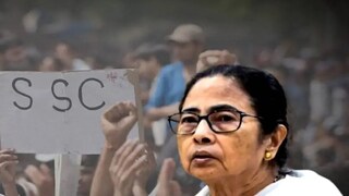 কী বললেন মুখ্যমন্ত্রী?