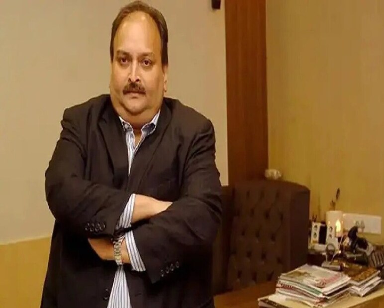 মেহুল চোকসি ও তাঁর ভাইপো নীরব মোদি মিলে পাঞ্জাব ন্যাশনাল ব্যাঙ্কে কোটি কোটি টাকার জালিয়াতি করেন। তাঁরা ব্যাঙ্কের কিছু কর্মকর্তার সঙ্গে মিলে ভুয়ো গ্যারান্টি লেটার (LoU) ইস্যু করে বিদেশি ব্যাঙ্ক থেকে জামানতবিহীন ঋণ নেন এবং সেই টাকায় শেল কোম্পানির মাধ্যমে আর্থিক তছরুপ করেন।  