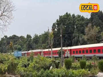 নার্সারি 