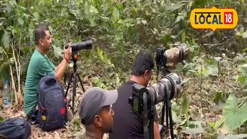 চিত্রগ্রাহক 