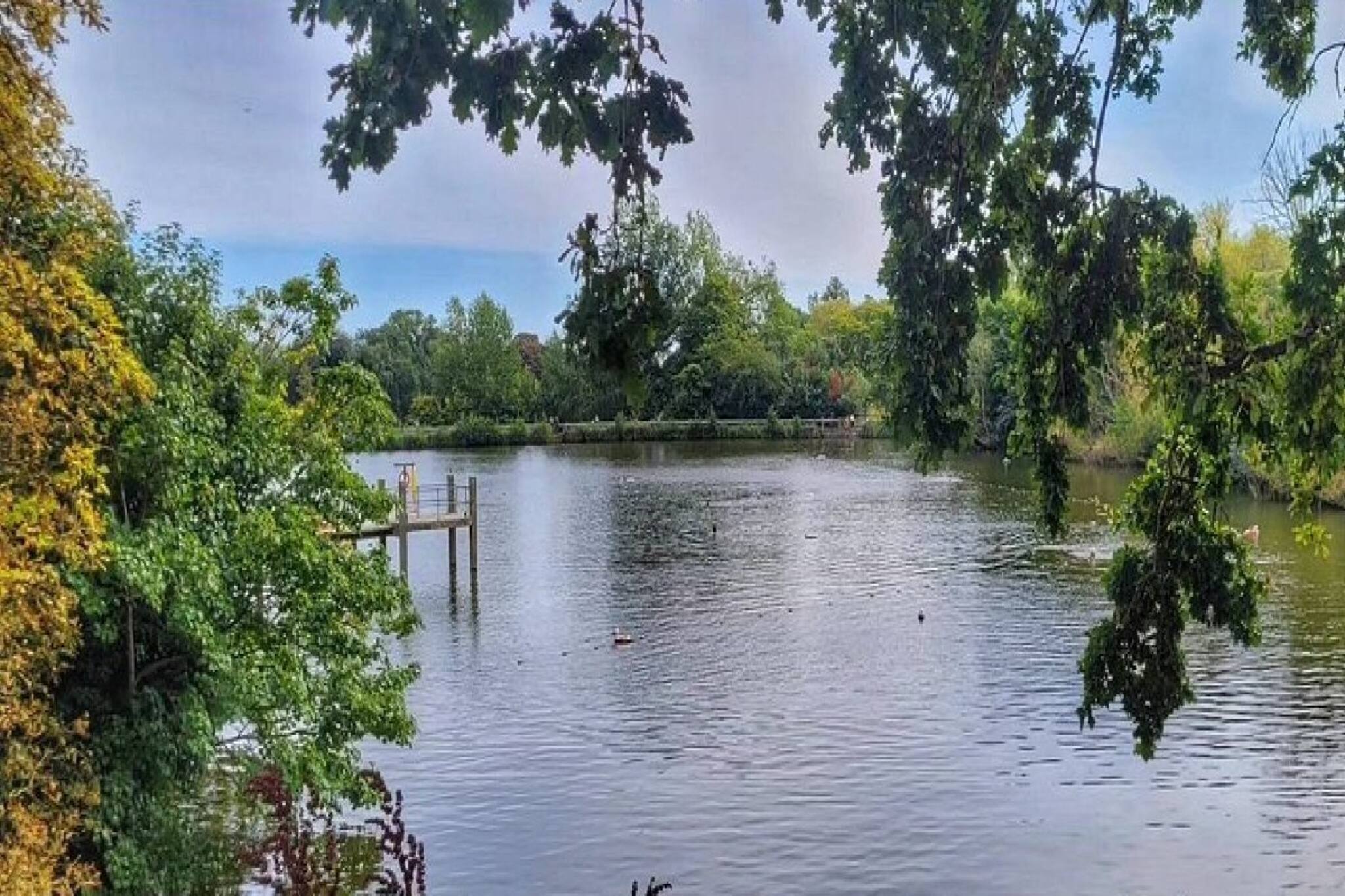 Magic Pond: এই পুকুরে ডুব দিলেই মেলে চাকরি মেলে চাকরি, হয় সন্তান, কোথায় দেখুন