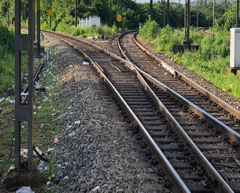 মন্ত্রী জানিয়েছেন, সারা বিশ্বে মাত্র চারটি দেশ এই ধরনের ট্রেন ইঞ্জিন তৈরি করে। তাদের ইঞ্জিনের ক্ষমতা ৫০০ থেকে ৬০০ হর্সপাওয়ারের মধ্যে। কিন্তু ভারত দ্বিগুণ ক্ষমতার ইঞ্জিন তৈরি করেছে।