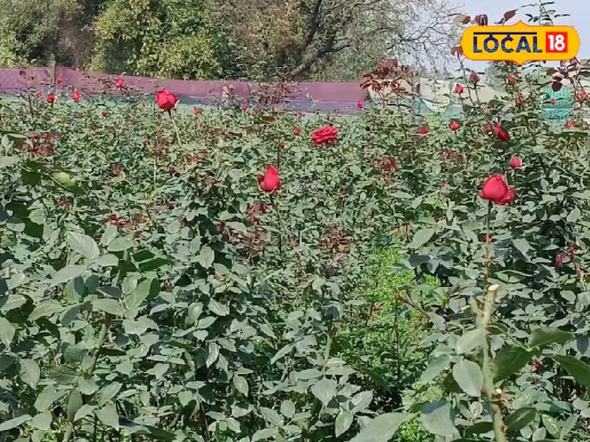 রায়বরেলি জেলার শিবগড় শহরে অবস্থিত এসবিভিপি ইন্টার কলেজের হোম সায়েন্সের মুখপাত্র অরুণ কুমার সিং লোকাল 18-কে জানিয়েছেন যে, এপ্রিল মাস এখন এগোচ্ছে। এই অবস্থায় তাপমাত্রা আরও বাড়বে।