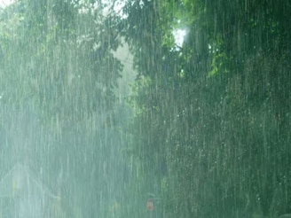 ঘূর্ণাবর্ত, নিম্নচাপ, গভীর নিম্নচাপ...! আগামী ২৪ ঘণ্টায় ধেয়ে আসছে 'অশনি'? ভাসবে কালীপুজো?