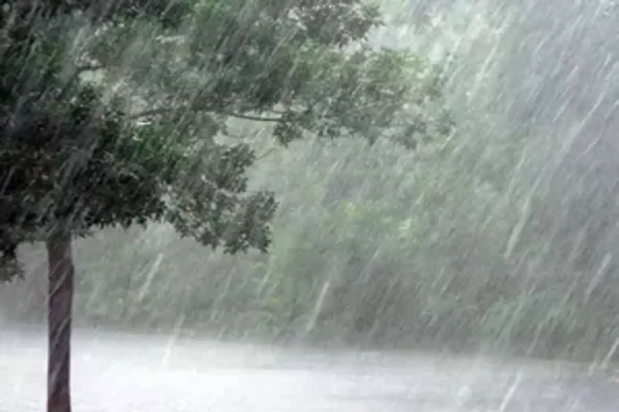 আগামী ১২ ঘণ্টায় ১৬ রাজ্য! বজ্রবিদ্যুৎ-ঝড়-জল কাঁপাবে! ভারী-অতি ভারী বৃষ্টি! কী হবে বাংলায়?