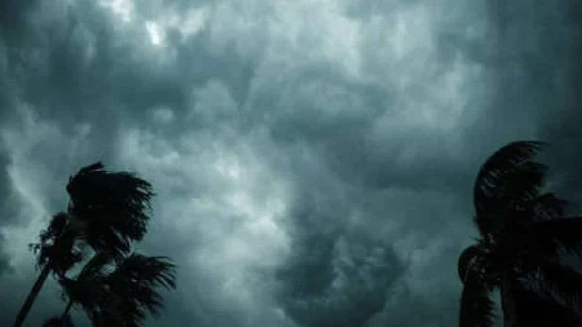 আগামী ২/৩ ঘণ্টায়…! তেড়ে আসছে কালবৈশাখী! ঝোড়ো হাওয়া, বৃষ্টি কাঁপাবে দক্ষিণের ২ জেলা!