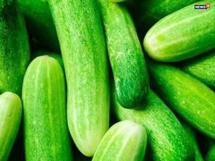 রাতে শসা-দিনের বেলায় শসা খাওয়া স্বাস্থ&#x200d;্যের জন&#x200d;্য আশীর্বাদ এবং বিভিন্ন ধরনের স্বাস্থ&#x200d;্য সমস&#x200d;্যা থেকে মুক্তি দেয়। সেখানে, রাতে শসা খেলে উপকারের পরিবর্তে ক্ষতি হতে পারে।