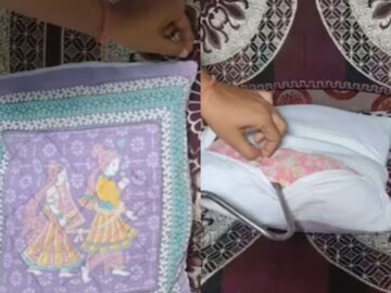 প্রথমে একটা অদ্ভুত 'খসখস' শব্দ, কাছে যেতেই বালিশটা নড়তে শুরু করল, খুলে যা দেখলাম...!