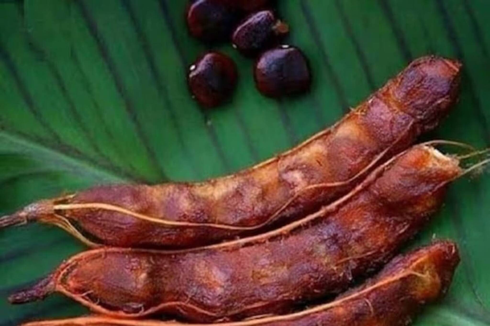 তেঁতুল মোটেই পছন্দ না? একটু খেলেই সুগার আর কোলেস্টেরলে কী হয়, জানলে আজই কিনে আনবেন