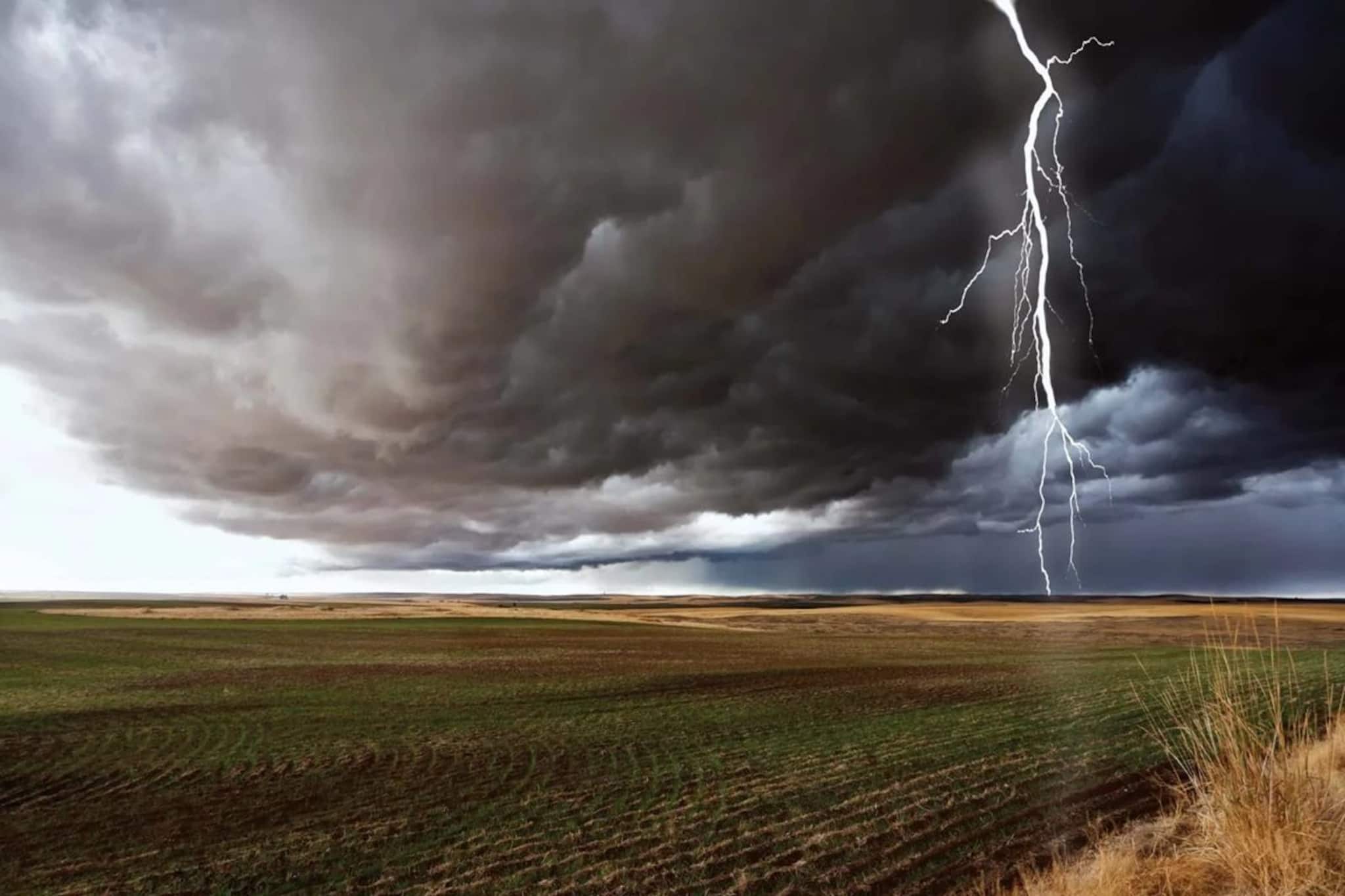 প্রবল ঝড়বৃষ্টি থামতেই দেখা গেল গাছের নীচে কেউ শুয়ে আছে... কে ওটা? সামনে আসতেই, সর্বনাশ!