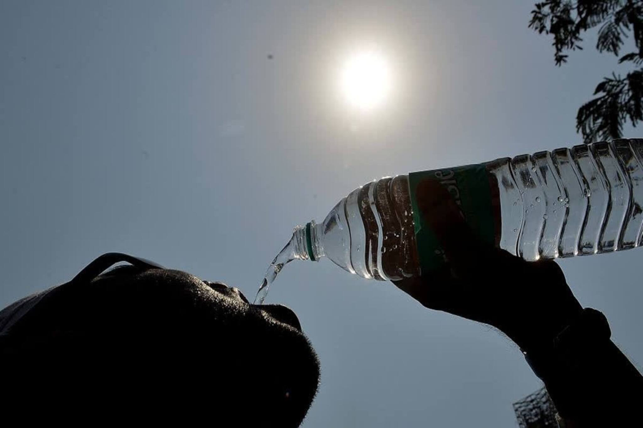 বমিভাব থেকে জলশূন্যতা হতে পারে মৃত্যুও! বয়স্কদের হিট স্ট্রোকের ঝুঁকি এড়াবেন কোন উপায়ে?