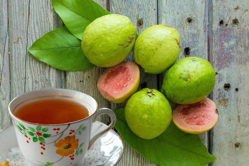  বদহজম বা অ্যাসিড রিফ্লাক্সের সমস্যা যদি নিয়মিত ভোগাতে থাকে, তা হলে সকালে খালি পেটে পেয়ারা পাতার চা খেতেই পারেন।