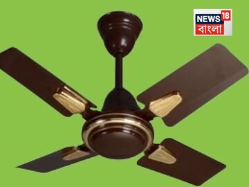 বেশি কারেন্ট পুড়ছে? সারাক্ষণ ‘5’ -এ ফ্যান? এগুলো না করলেই কিন্তু চড় চড় করে বাড়বে বিল