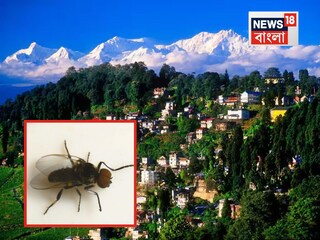 News18