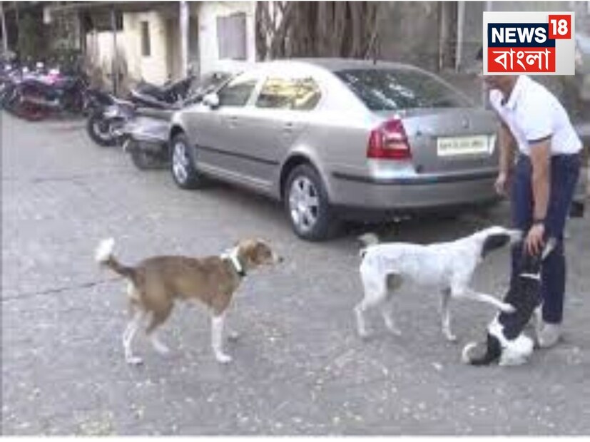 যদি আপনাকে কুকুর কামড়ায়, তাহলে জানা উচিত প্রথমেই কী কী করবেন? চিকিৎসক জানাচ্ছে, কুকুর কামড়ালে আতঙ্কিত হওয়ার কোনও কারণ নেই। প্রথমে কুকুরটি যেখানে কামড়িয়েছে সেই জায়গাটি সাবান দিয়ে ভাল করে ধুয়ে ফেলার চেষ্টা করুন। পরিষ্কার-পরিচ্ছন্নতা ভাইরাস অপসারণের সম্ভাবনা বাড়িয়ে দেয়। এছাড়াও, সবচেয়ে গুরুত্বপূর্ণ বিষয় হল, যদি আপনাকে কুকুর কামড়ায়, তাহলে জলাতঙ্ক-বিরোধী টিকা নিয়ে নিন। এই টিকা যে কোনও ঝুঁকি প্রায় শূন্যে নামিয়ে আনে।