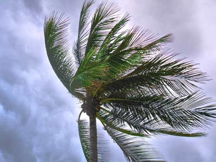 শনিবার থেকে ঝড় বৃষ্টির পরিমাণ কমবে উত্তরবঙ্গের জেলাগুলিতে। উপরের দিকে তিন জেলা এবং মালদা মোট চার জেলাতে বজ্রবিদ্যুৎ সহ ঝড় বৃষ্টির সম্ভাবনা। রবিবারে উপরের দিকের ৫ জেলায় হালকা ঝড় বৃষ্টির সম্ভাবনা। বজ্রবিদুসহ হালকা মজুরি বৃষ্টির সঙ্গে ঝড়ের গতিবেগ ৩০ থেকে ৪০ কিলোমিটার প্রতি ঘন্টায় হতে পারে। আগামী সপ্তাহের শুরু থেকে তাপমাত্রা বাড়বে উত্তরবঙ্গের জেলাগুলিতেও।