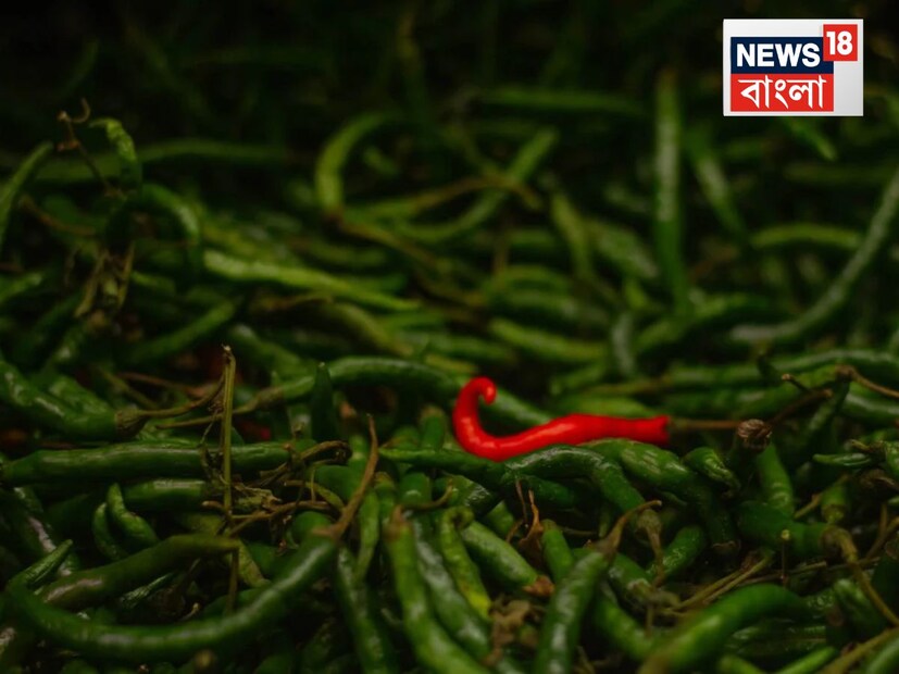 প্লাস্টিকের পাত্রের পরিবর্তে স্টিল বা কাচের পাত্র ব্যবহার করুন। এটি আরও নিরাপদ এবং টেকসই। রেফ্রিজারেটরের নীচের সবজির অংশে লঙ্কা রাখুন। যেখানে তাপমাত্রা স্থিতিশীল এবং ঠান্ডা থাকে।