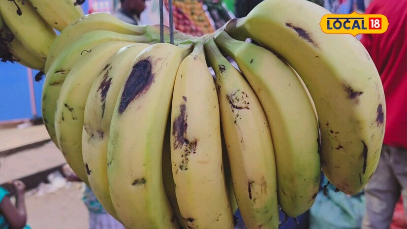 *সকালে ঘুম থেকে উঠে জলখাবারে ফল খেলে বা খাওয়ার আগে ফল খেলে হজম ভাল হয়। পেট ভাল পরিষ্কার হয়, যারা কোষ্ঠকাঠিন্যের সমস্যায় ভোগেন তাদের কাঁচা কলা খাওয়া উচিত নয়। তবে তাদের জন্য পাকা কলা খাওয়া খুবই ভাল।
