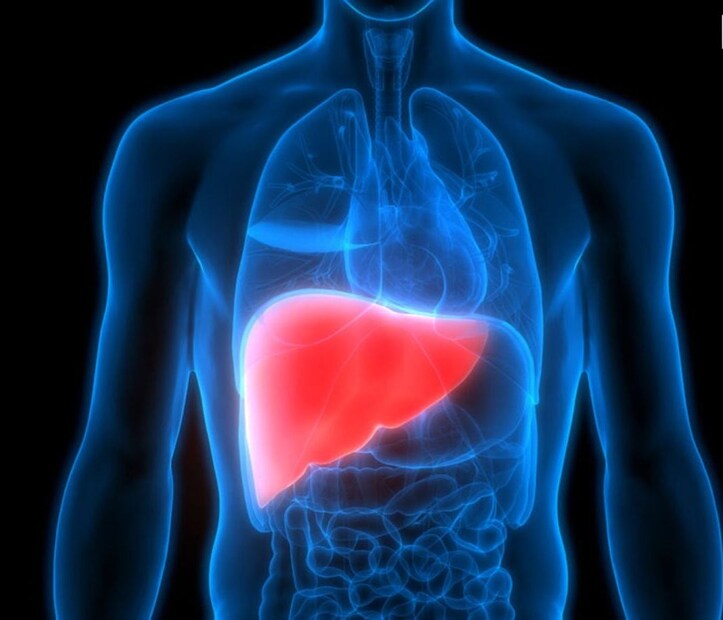 Liver Care: লিভারের তাপমাত্রা বেশি? পচন ধরতে শুরু করেছে! ৯৯% মানুষের একটা ভুলেই ঘটছে সর্বনাশ, আপনার শরীরে ‘এই’ লক্ষণ রয়েছে?
