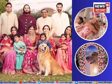 তারাদের দেশে অনন্তের প্রিয় পোষ্য ‘হ্যাপি’, শোকাহত আম্বানি পরিবার তারাদের দেশে অনন্তের প্রিয় পোষ্য ‘হ্যাপি’, শোকাহত আম্বানি পরিবার