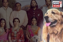 তারাদের দেশে অনন্তের প্রিয় পোষ্য ‘হ্যাপি’, শোকাহত আম্বানি পরিবার