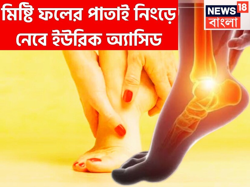 ইউরিক অ্যাসিড শরীরে বাড়তে থাকলে নানান ধরনের সমস্যা সৃষ্টি হয়ে থাকে ৷ পিউরিন ভেঙে গিয়েই ইউরিক অ্যাসিডের সমস্যা তৈরি করে থাকে ৷ প্রতীকী ছবি ৷