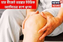 চার বীজেই ভয়ঙ্কর ইউরিক অ্যাসিডের বংশ ধ্বংস! রাতে শুতে যাওয়ার আগে মুখে নিলেই ব্যথার শেষ