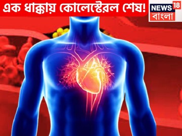 বিরাট ধাক্কা কোলেস্টেরলের জন্য! সুপার টিপসে বদ পদার্থ ঘরে ঝরে পড়বে, হার্ট থাকবে চাঙ্গা