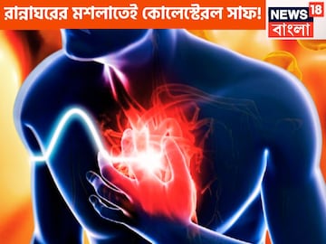 সকাল সকাল কোলেস্টেরলে কোপ! খালি পেটে এক মশলার জলেই ধমনী, শিরা টেনে বের করবে