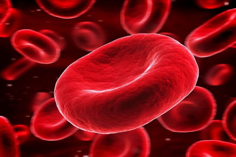 A রক্তের গ্রুপ (A Blood Group), এই ব্লাডগ্রুপের মানুষেরা অত্যন্ত পরিমাণে ভাল রোল মডেল হতে পারে ৷ জীবনে সাফল্য আসতে চলেছে ৷ নতুন নতুন সাফল্য আসবে জীবনে ৷ প্রতীকী ছবি ৷