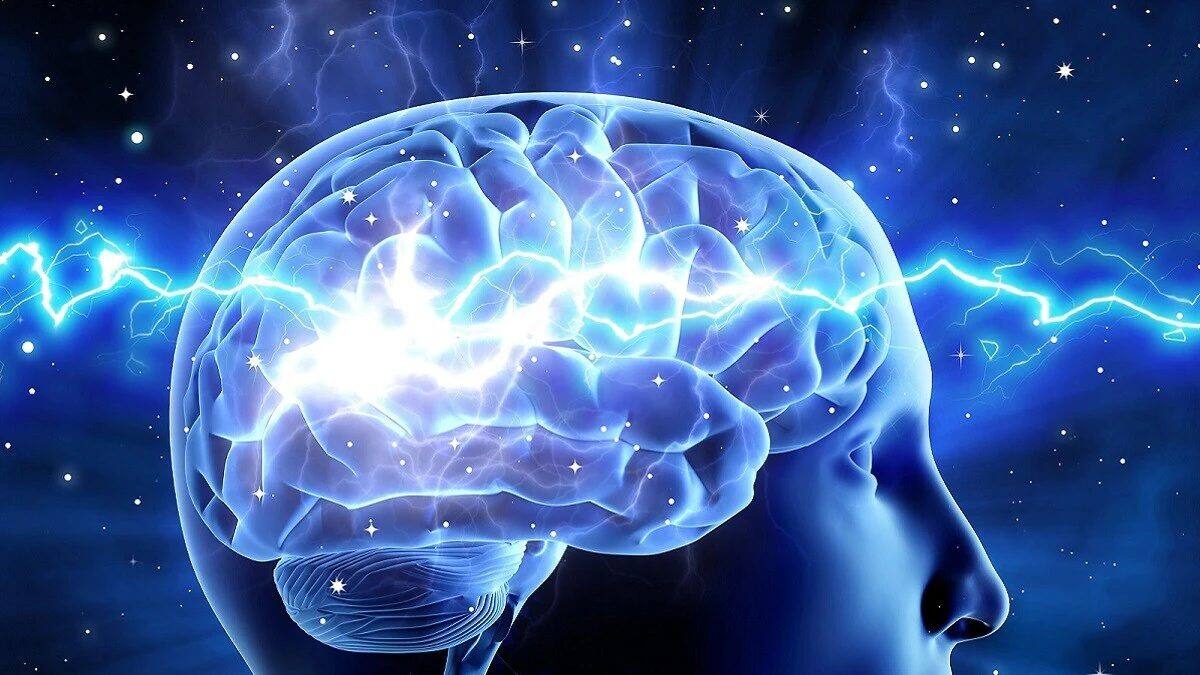 Human Brain Storage Capacity: আমাদের মস্তিষ্কে কত GB তথ্য সংরক্ষণ করা ...