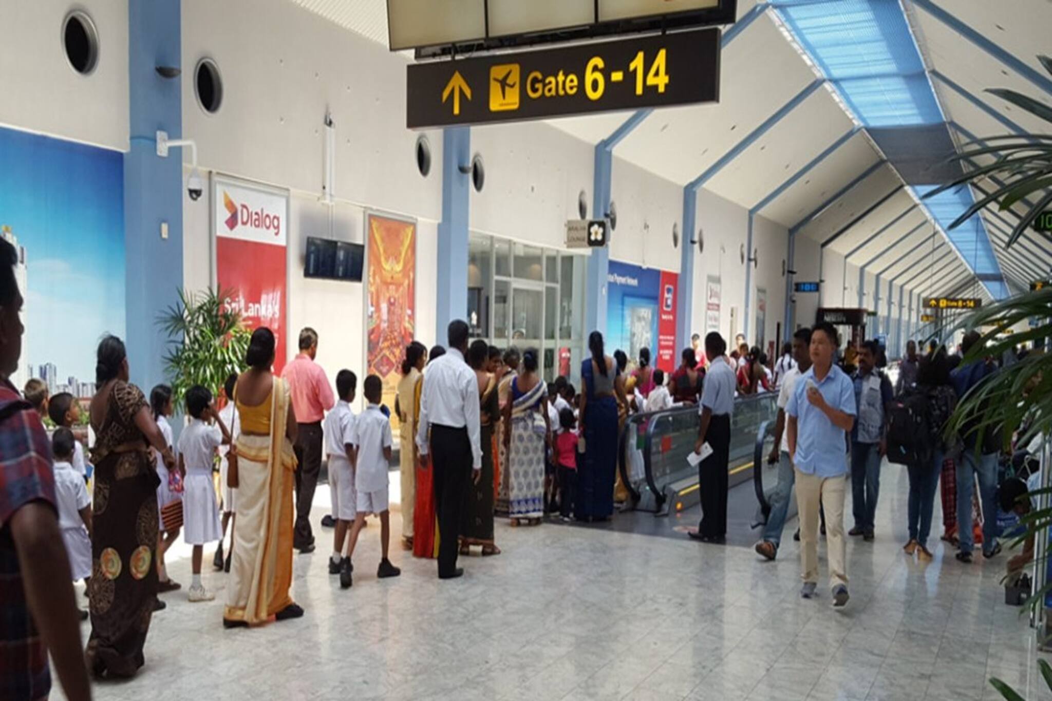 প্লেনে লুকিয়ে পহেলগাঁও হামলার জঙ্গিরা! খবর পাওয়া মাত্র হাই অ্যালার্ট শ্রীলঙ্কার কলম্বোয়