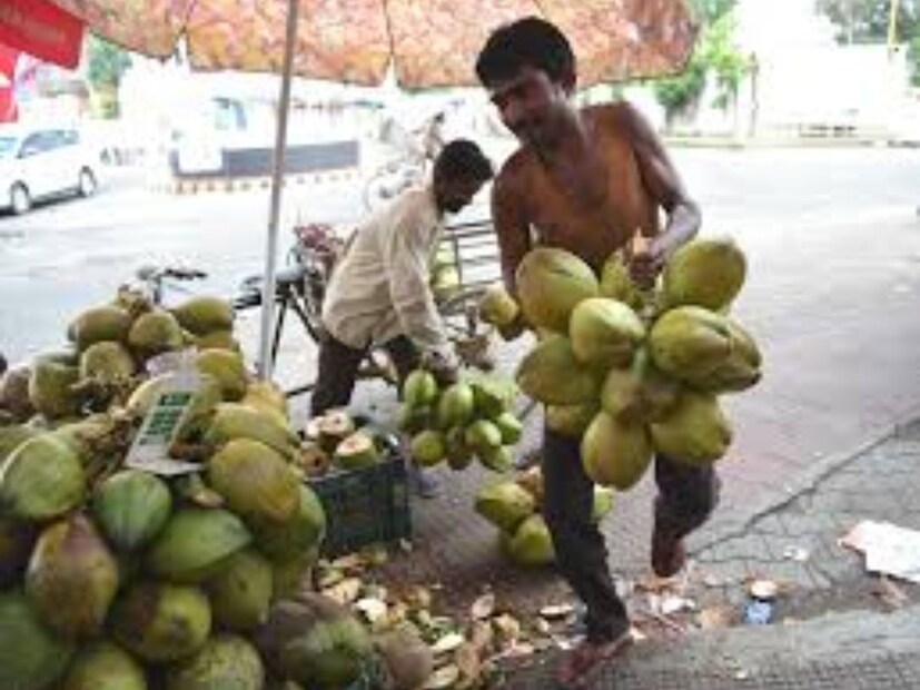 ভিডিওর শেষে কেসি নারকেল বিক্রির ব্যবসার হিসাব দেন। তিনি বলেন যে এক একটি নারকেল ৭০ টাকায় বিক্রি হয় এবং দোকানদার একদিনে প্রায় ২,০০০ নারকেল বিক্রি করেন। 