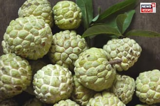 'সুপারফুড' আতা, ভিটামিন-পটাশিয়ামের খনি, কিন্তু কারা ভুলেও এই ফল ছোঁবেন না?
