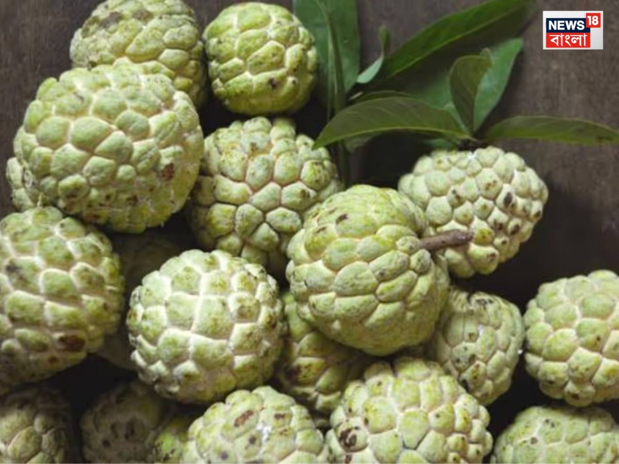 Custard Apple Health Hazards:'সুপারফুড' আতা, ভিটামিন-পটাশিয়ামের খনি, কিন্তু কারা ভুলেও এই ফল ছোঁবেন না? পড়ুন