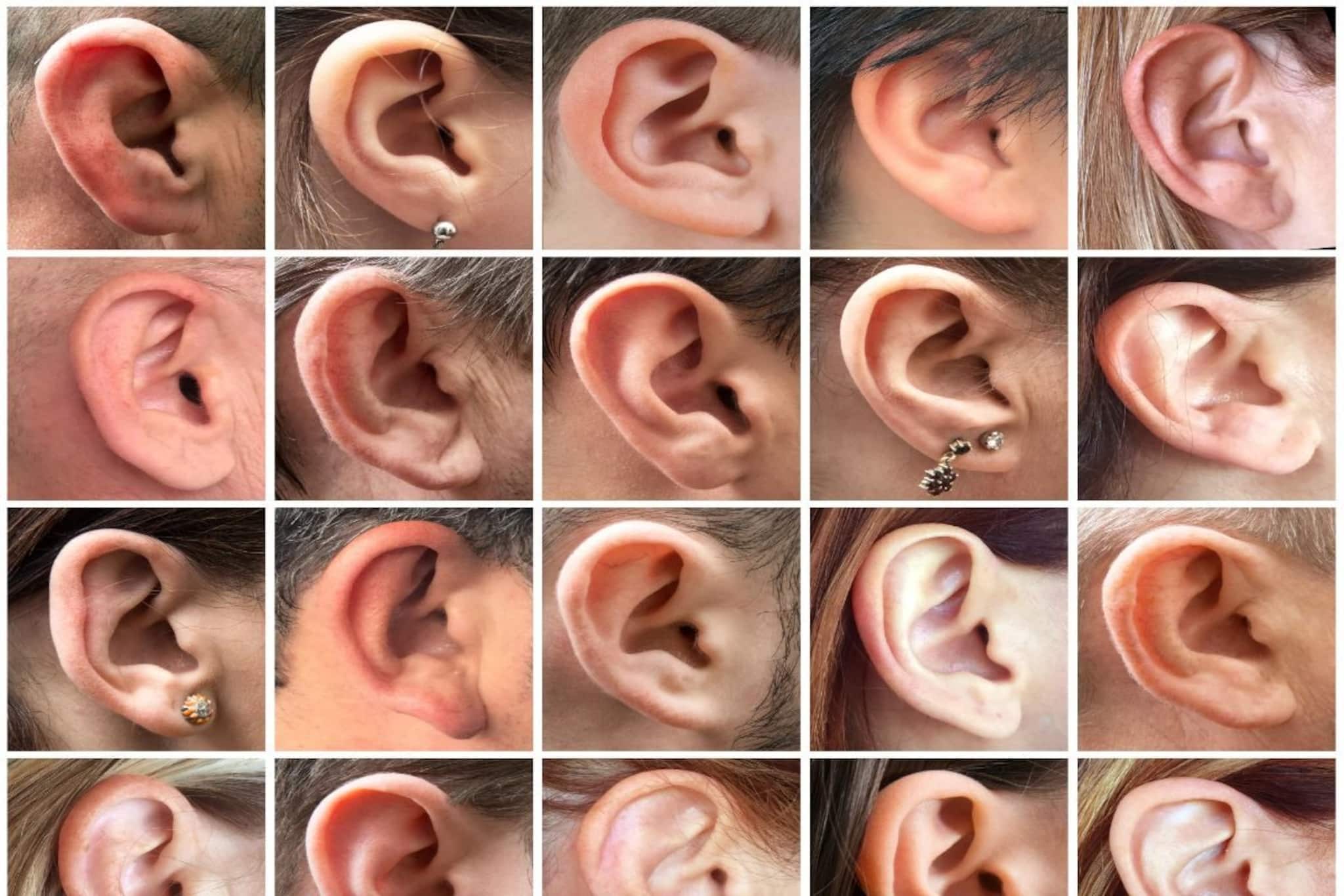 হাতির কানের মতো 'বড়' নাকি 'জোড়া'..? আপনার কানই বলে দেবে আপনি কেমন মানুষ, বুঝে নিন কে কেমন!