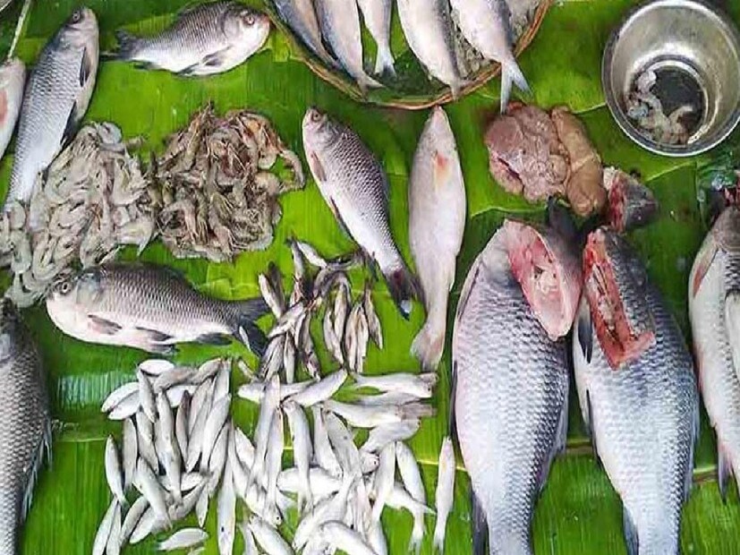 হজমশক্তি দুর্বল হয়ে পড়েবর্ষাকালে হজমশক্তি দুর্বল হয়ে পড়ে। এমন পরিস্থিতিতে যদি কেউ ভারী খাবার বা স্বাস্থ্যের জন্য ক্ষতিকারক খাবার খান, তাহলে হজম ক্ষমতা অবশ্যই নষ্ট হয়ে যায়। বর্ষাকালে পুকুর এবং নদীর জল খুব নোংরা থাকে এবং মাছরা এই জলেই বাস করে।