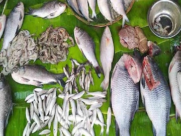 মাছ খেলেই শরীর ভাল হয়? জানেন কোন মাছে সবচেয়ে বেশি প্রোটিন থাকে? জানুন চিকিৎসকের মতামত মাছ খেলেই শরীর ভাল হয়? জানেন কোন মাছে সবচেয়ে বেশি প্রোটিন থাকে? জানুন চিকিৎসকের মতামত