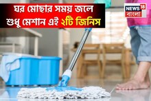 ঘর মোছার সময় জলে শুধু মেশান এই ২টি সস্তার উপকরণ, পিঁপড়ে, মাছি কিংবা আরশোলা থেকে মুক্তি !