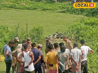  অসুস্থ বাইসন উদ্ধার