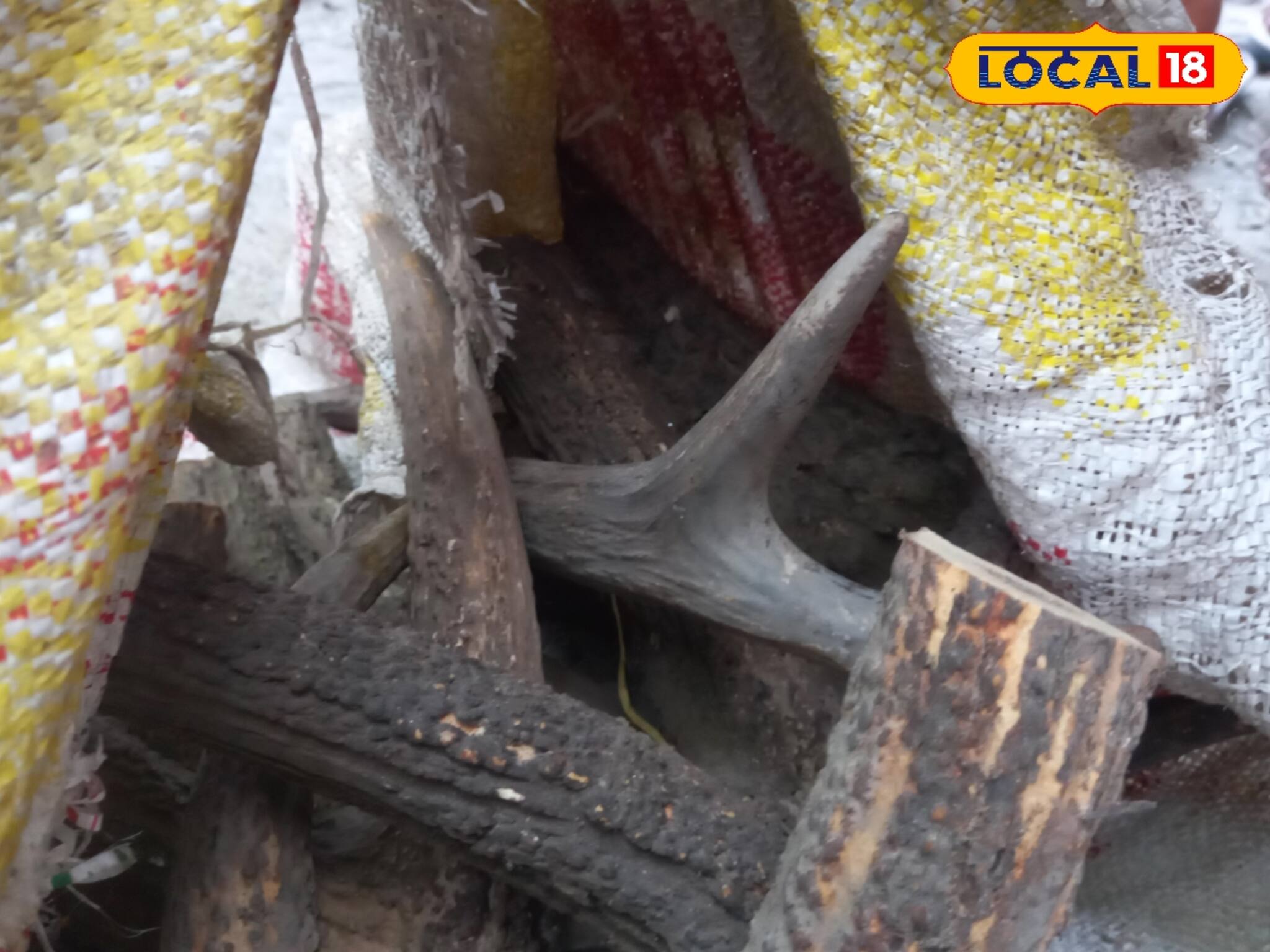 ভুট্টা ক্ষেত থেকে বস্তাবন্দি অবস্থায় যা উদ্ধার হল! দেখে চমকে উঠল সকলে, এমনও হতে পারে!